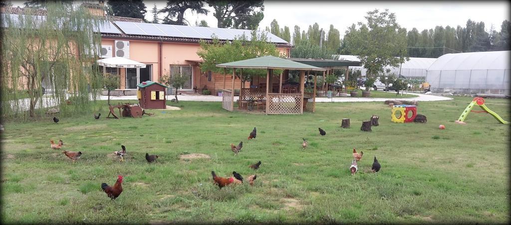 Agriturismo Perugini Bed and Breakfast Τσεζένα Εξωτερικό φωτογραφία